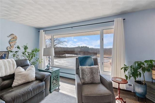 living area with a baseboard heating unit, wood finished floors, and a baseboard radiator