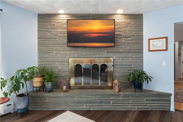 living room featuring a fireplace and wood finished floors