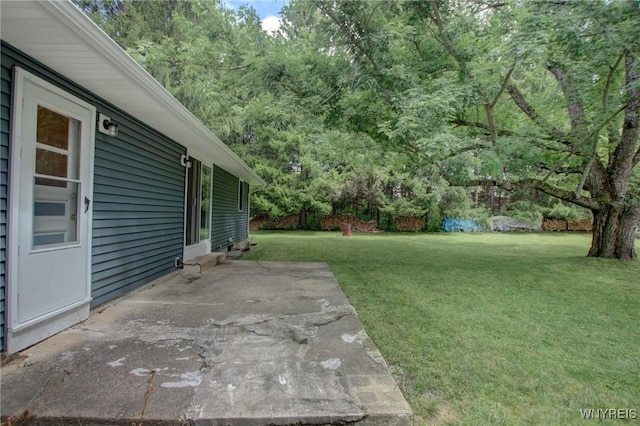 view of yard featuring a patio area