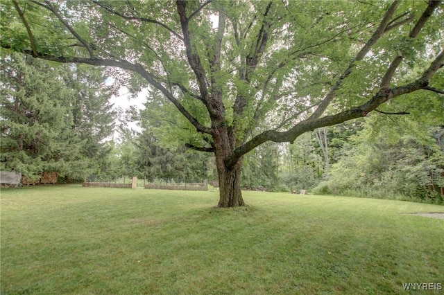 view of yard with a forest view