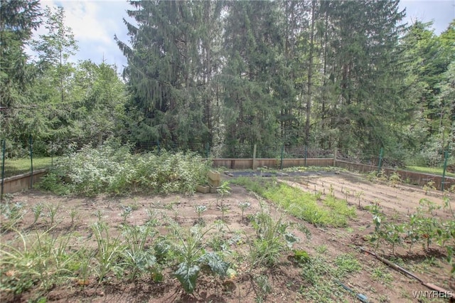 view of yard with a wooded view and fence