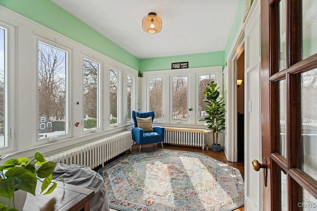 sunroom / solarium with radiator