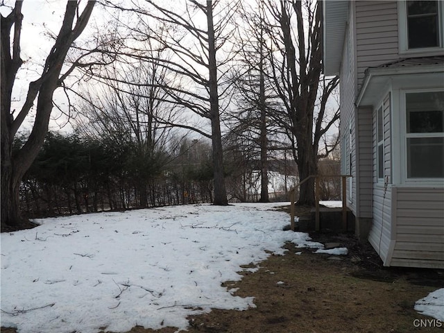 view of yard covered in snow