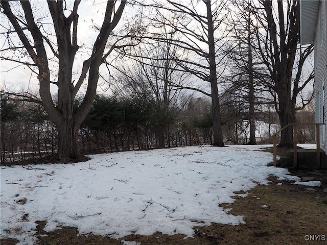 view of yard layered in snow