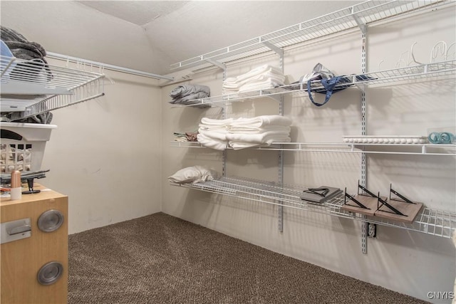 walk in closet featuring carpet flooring