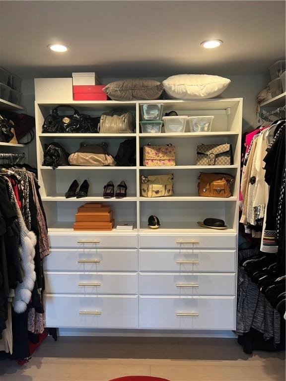 view of spacious closet