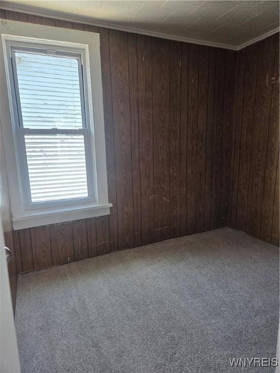 68 Walden Ave, Buffalo, NY 14211 - photo 12