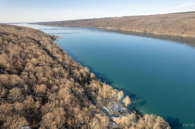 bird's eye view with a water view and a wooded view