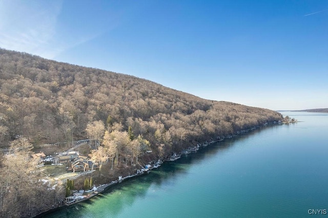 aerial view featuring a view of trees and a water view