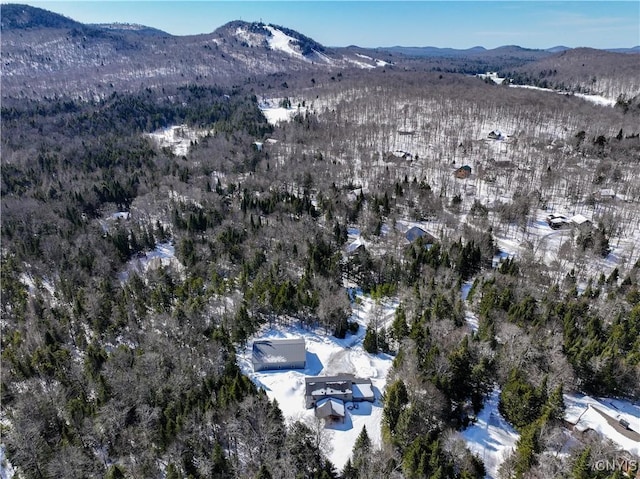 birds eye view of property with a mountain view