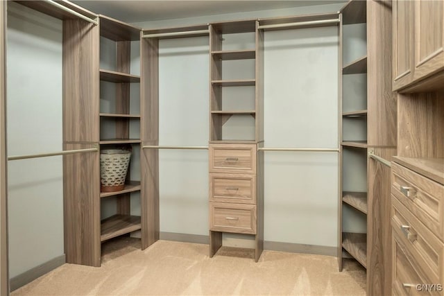 spacious closet with light colored carpet