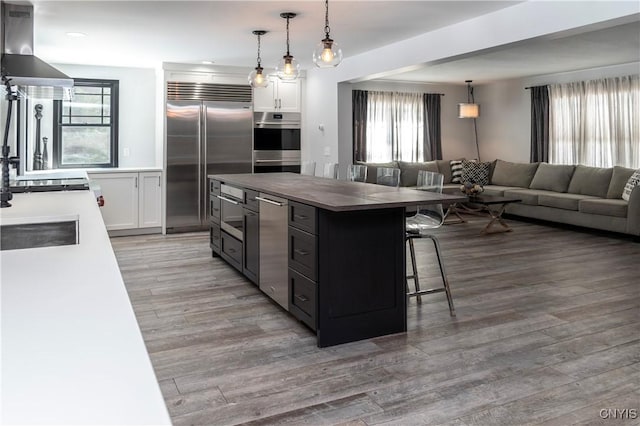 kitchen with light wood finished floors, a breakfast bar, a wealth of natural light, range hood, and stainless steel appliances