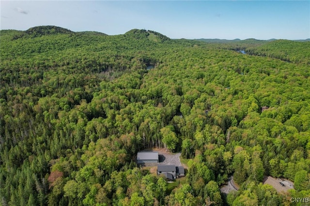 119 Woodland Dr, Webb, NY 13420 - photo 3