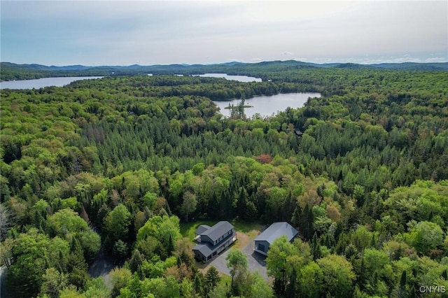 119 Woodland Dr, Webb, NY 13420 - photo 4