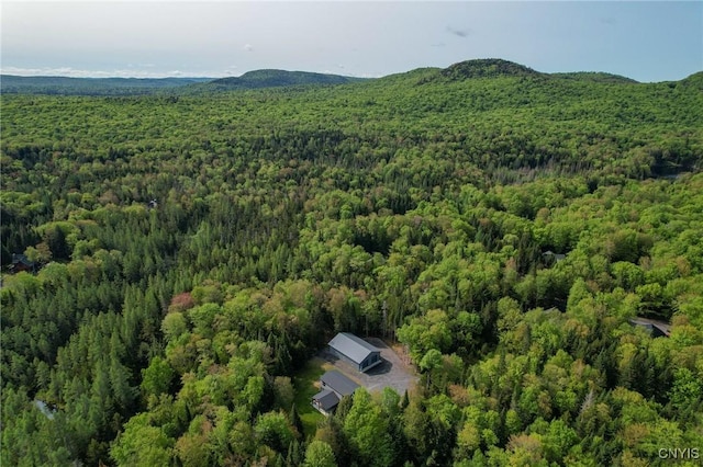119 Woodland Dr, Webb, NY 13420 - photo 6