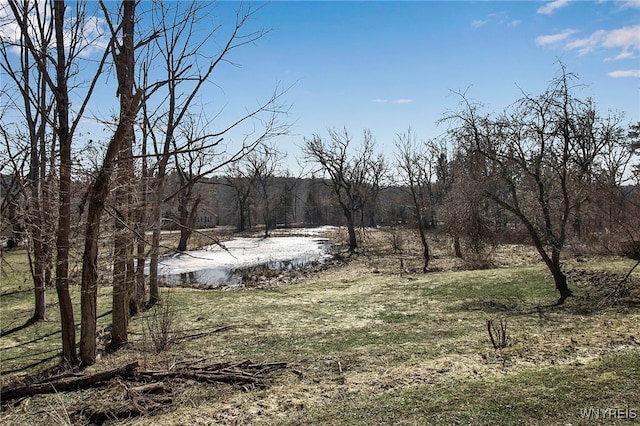 exterior space with a wooded view