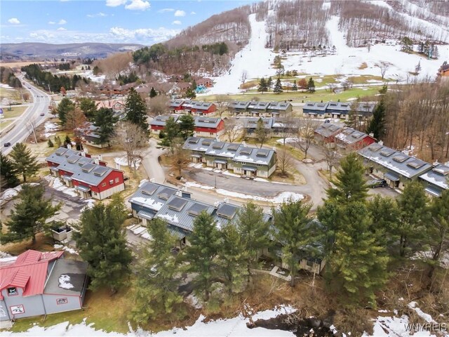 13 Alpine Mdw, Ellicottville, NY 14731 - photo 46
