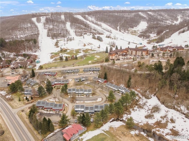 13 Alpine Mdw, Ellicottville, NY 14731 - photo 42