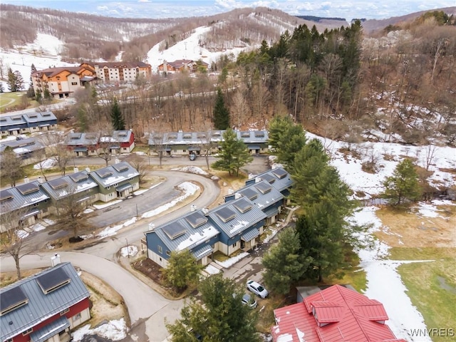 13 Alpine Mdw, Ellicottville, NY 14731 - photo 45