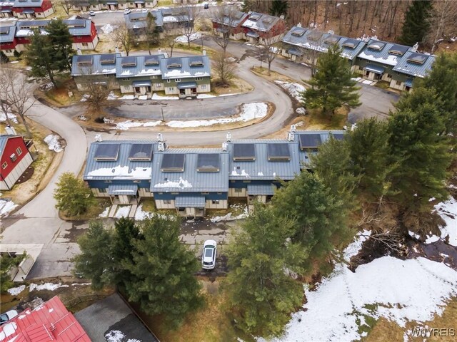 13 Alpine Mdw, Ellicottville, NY 14731 - photo 47