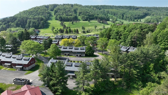 13 Alpine Mdw, Ellicottville, NY 14731 - photo 6