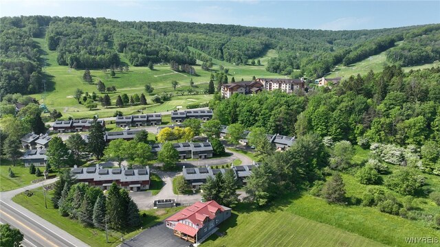 13 Alpine Mdw, Ellicottville, NY 14731 - photo 36