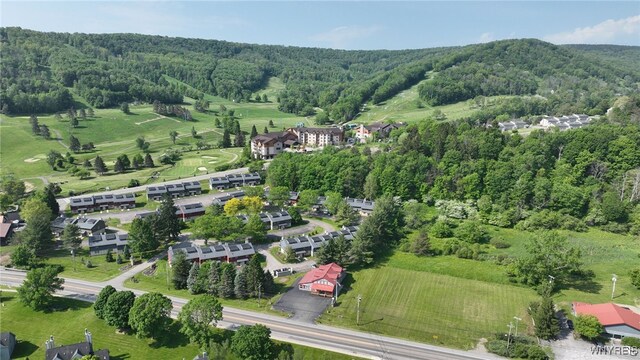 13 Alpine Mdw, Ellicottville, NY 14731 - photo 7