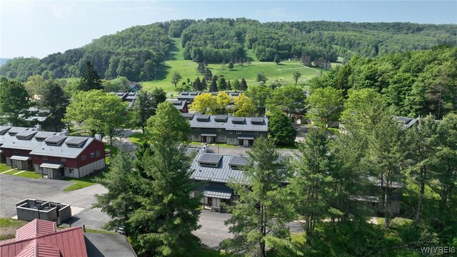 13 Alpine Mdw, Ellicottville, NY 14731 - photo 37