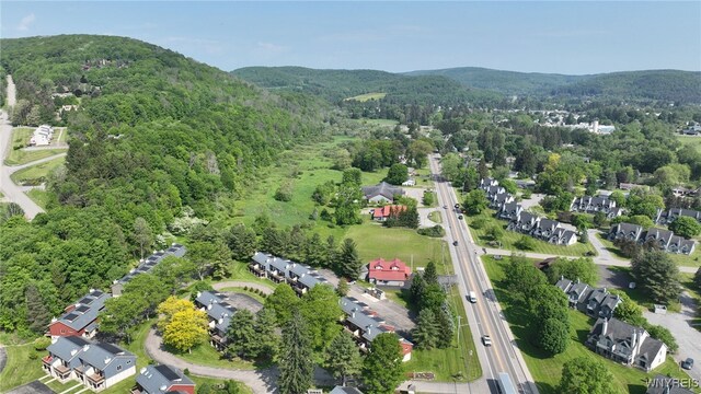 13 Alpine Mdw, Ellicottville, NY 14731 - photo 38