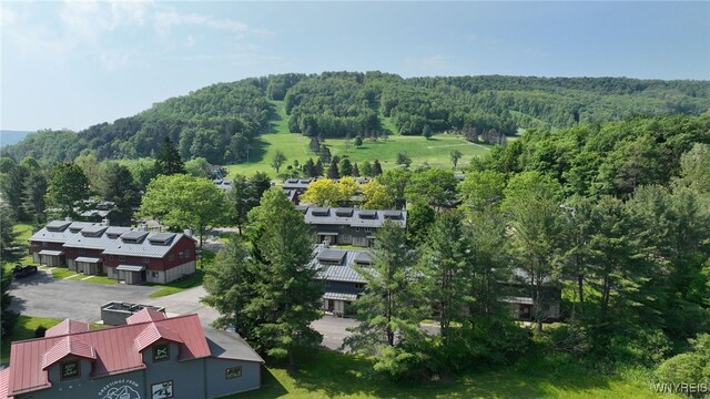 13 Alpine Mdw, Ellicottville, NY 14731 - photo 39