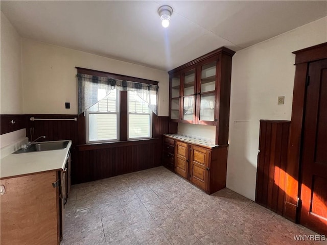 kitchen featuring wooden walls, a sink, light countertops, glass insert cabinets, and wainscoting