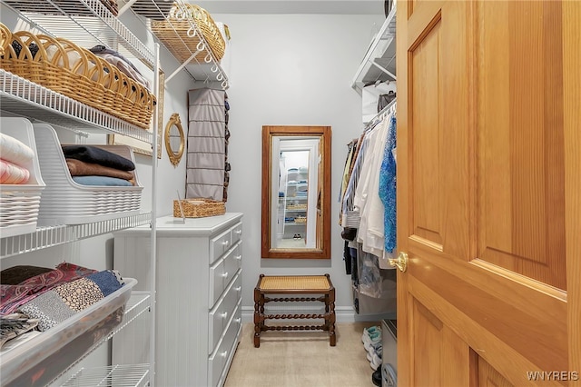 view of spacious closet