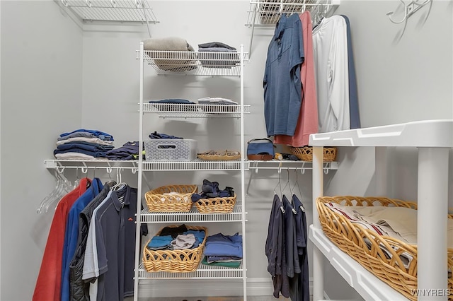 view of spacious closet