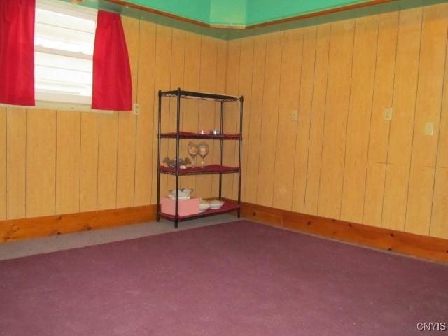 unfurnished room featuring wood walls and carpet flooring