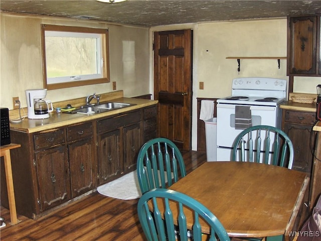 kitchen with white range with electric cooktop, dark brown cabinetry, dark wood finished floors, and a sink