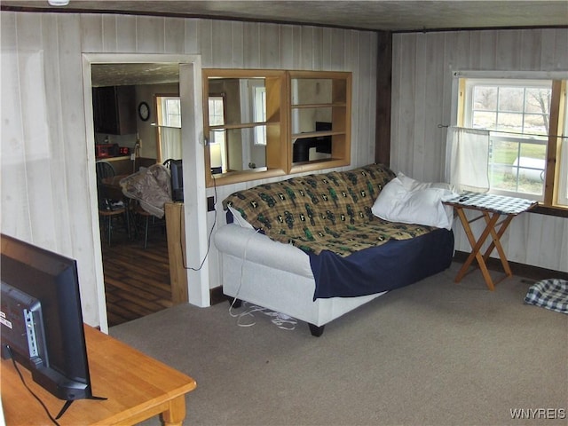 living area with wood walls and carpet floors