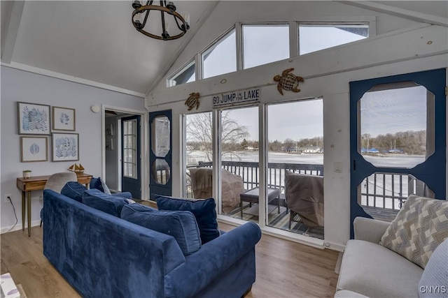 living room featuring wood finished floors and high vaulted ceiling