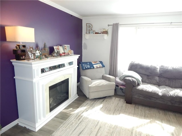 living area with a glass covered fireplace, ornamental molding, and wood finished floors