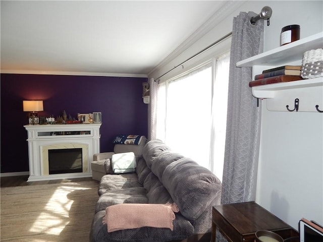 living room featuring wood finished floors, crown molding, and a premium fireplace