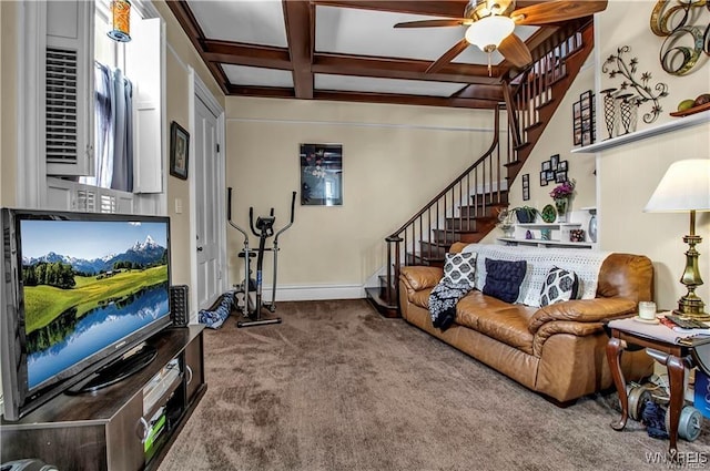 living room featuring a ceiling fan, coffered ceiling, beam ceiling, stairs, and carpet flooring