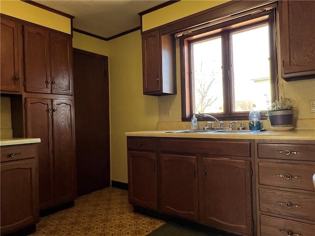 kitchen with a sink, light countertops, and ornamental molding