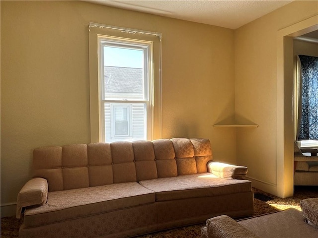 living area featuring plenty of natural light