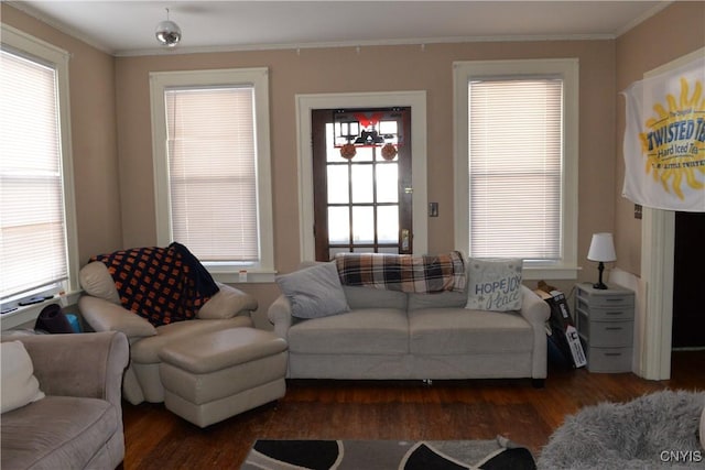 living area with crown molding and wood finished floors