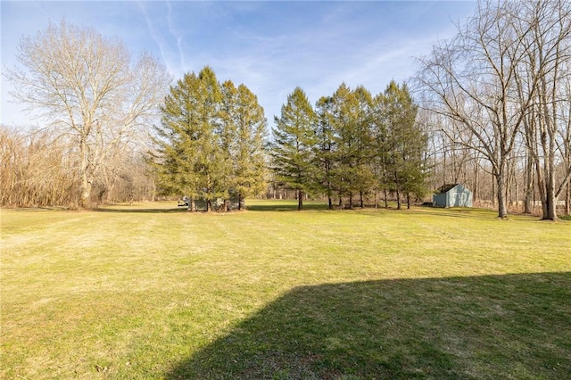 view of yard featuring an outdoor structure