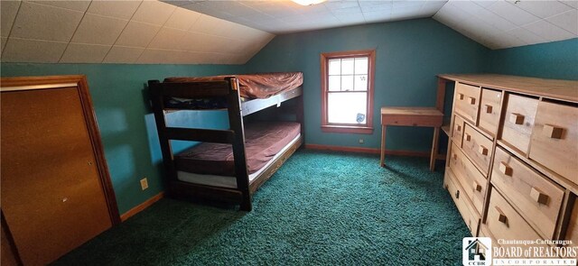 1620 Haskell Rd, Portville, NY 14760 - bedroom with lofted ceiling, carpet flooring, and baseboards