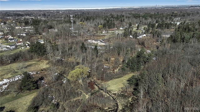 bird's eye view with a wooded view