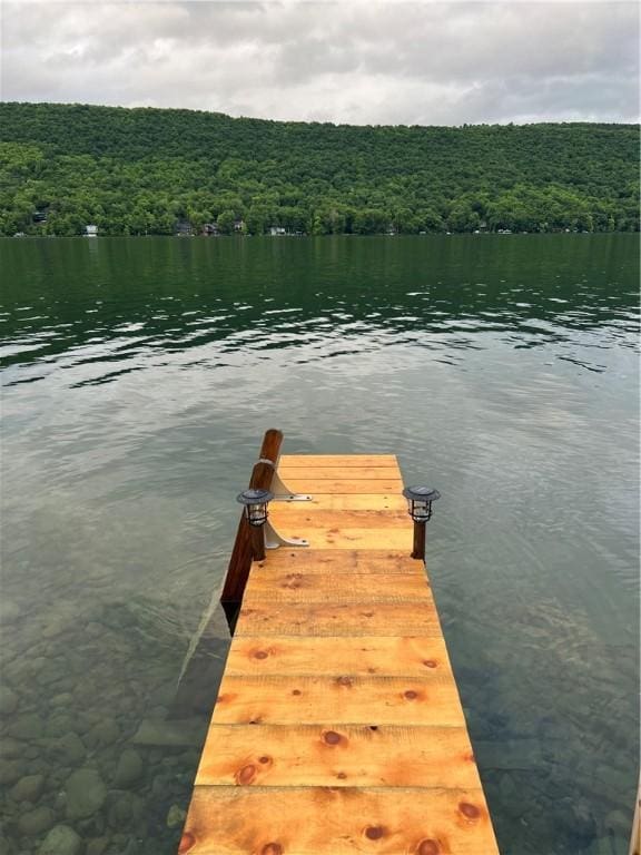 view of dock with a wooded view and a water view