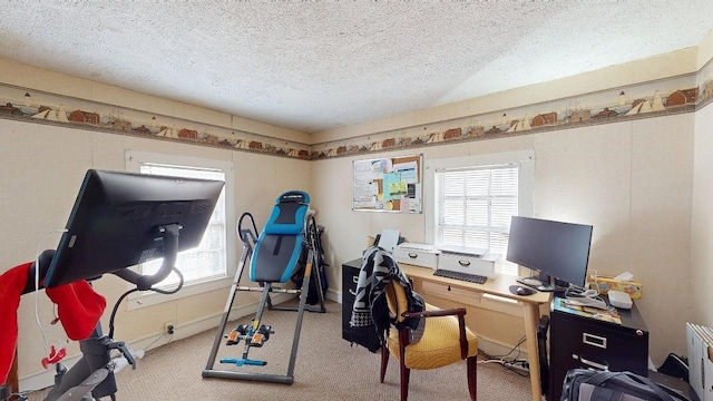 office space with a textured ceiling and light colored carpet