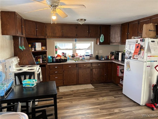 kitchen featuring white appliances, a ceiling fan, wood finished floors, a sink, and light countertops