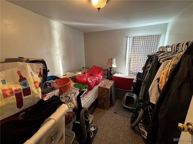 bedroom featuring carpet